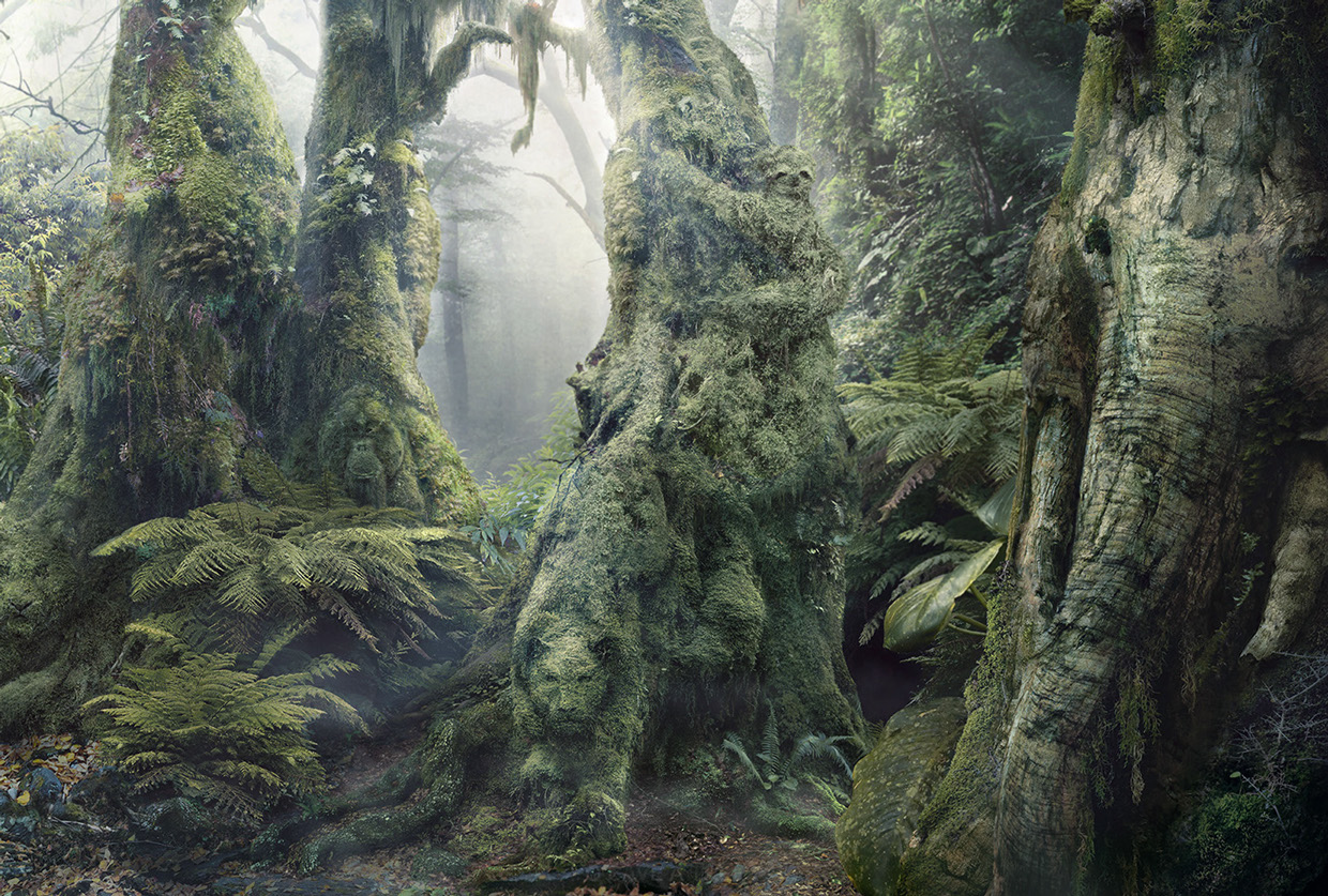 WWF - Botanimal Project by Anais Boileau
